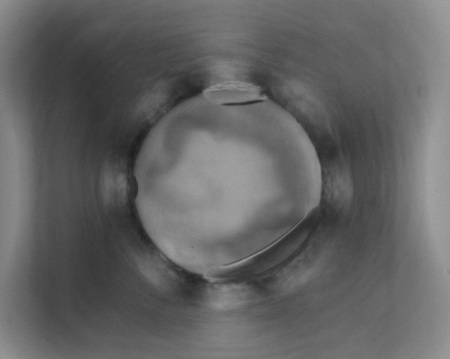 X0000111360716200907311013