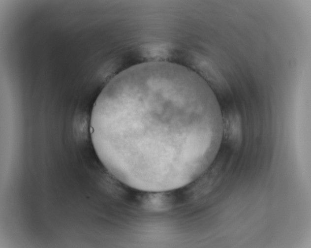 X0000111360717200907311013