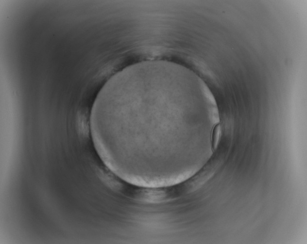 X0000111360719200907311013