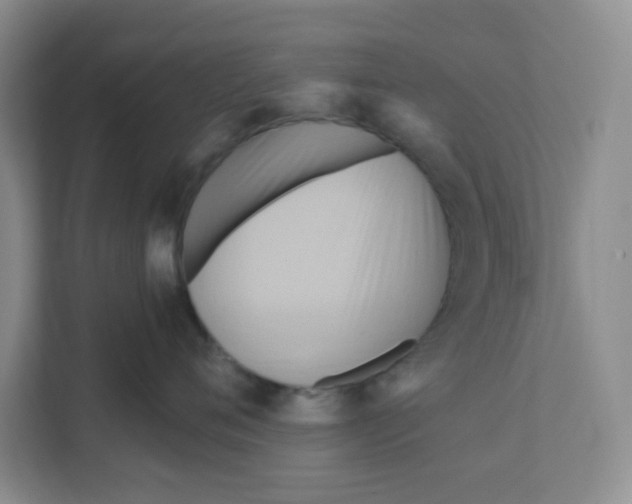 X0000111360720200907311013