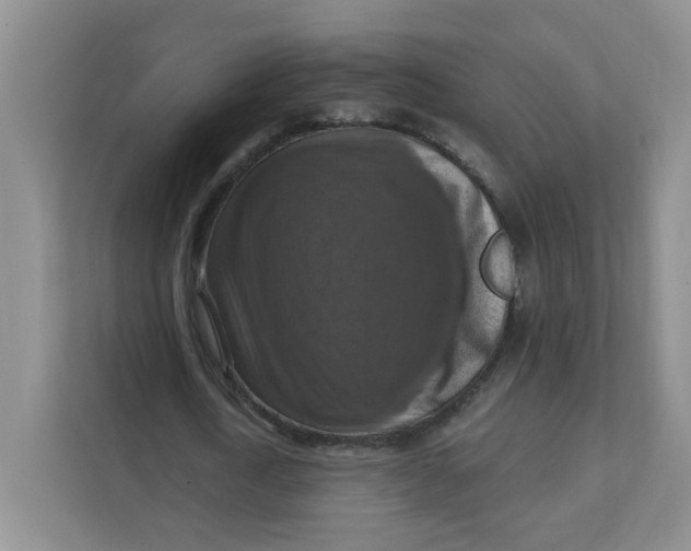 X0000111360722200907311012