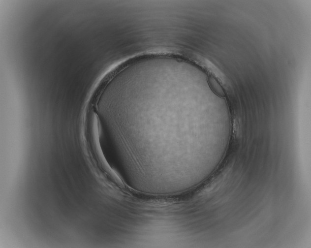 X0000111360724200907311012