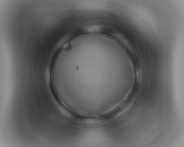 X0000111360725200907311012