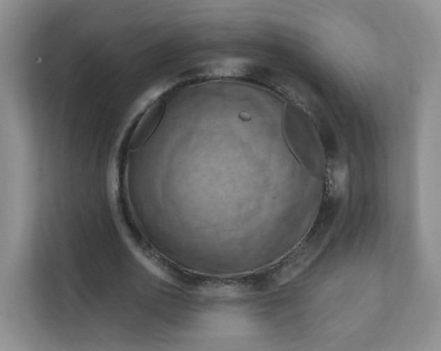 X0000111360726200907311012