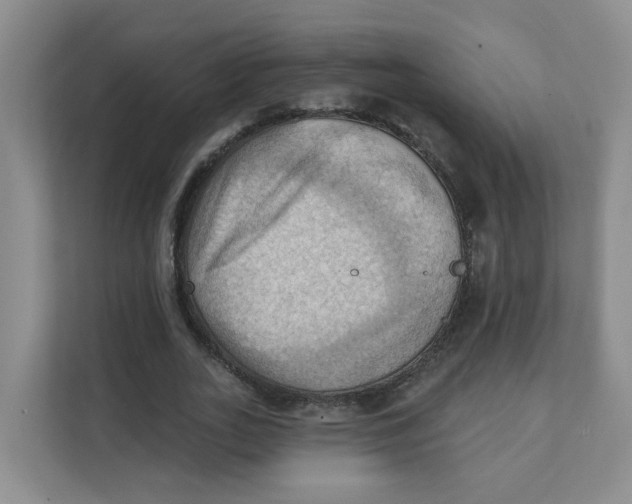 X0000111360727200907311012