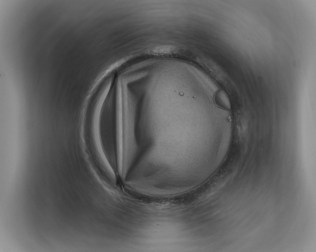 X0000111360728200907311012