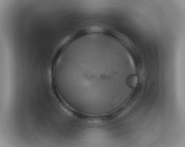 X0000111360729200907311012