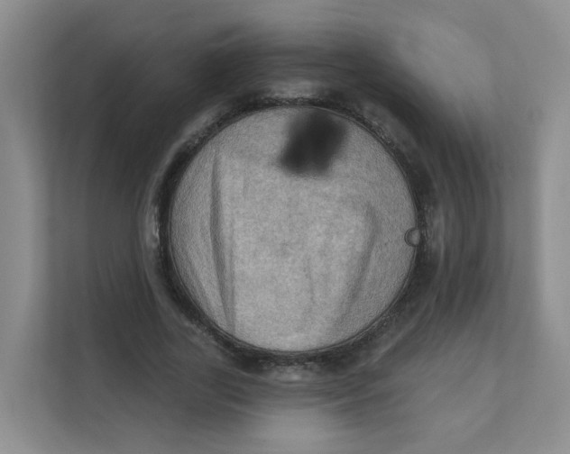 X0000111360731200907311012