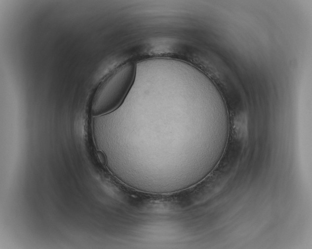 X0000111360732200907311012