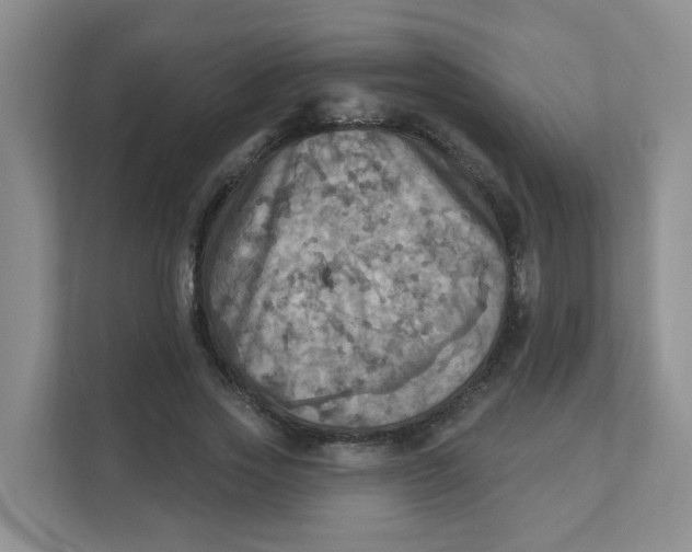 X0000111360733200907311012