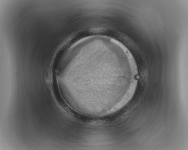 X0000111360734200907311012