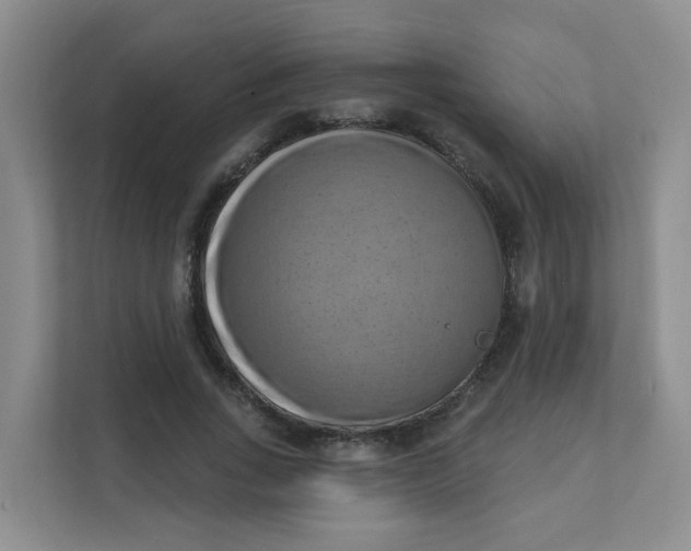 X0000111360735200907311012