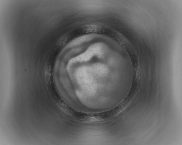 X0000111360737200907311012