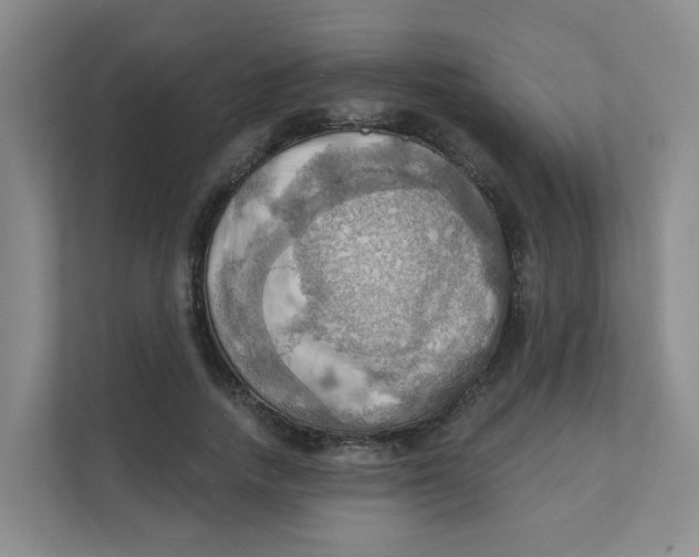 X0000111360738200907311012