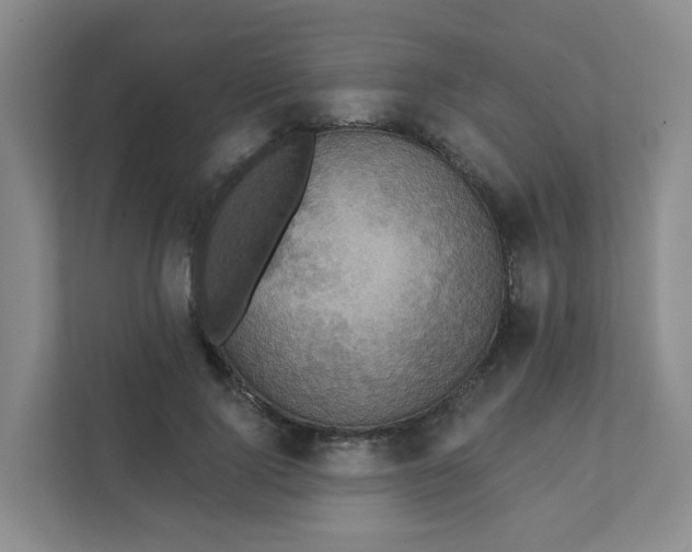 X0000111360740200907311012