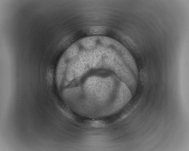 X0000111360741200907311012