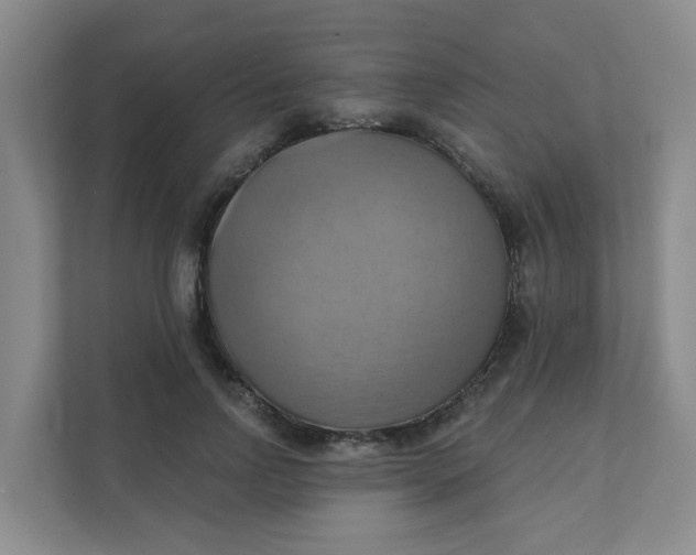 X0000111360742200907311012