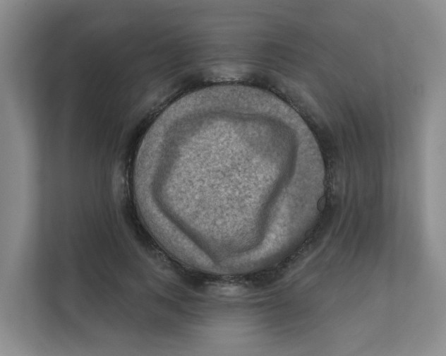 X0000111360743200907311012