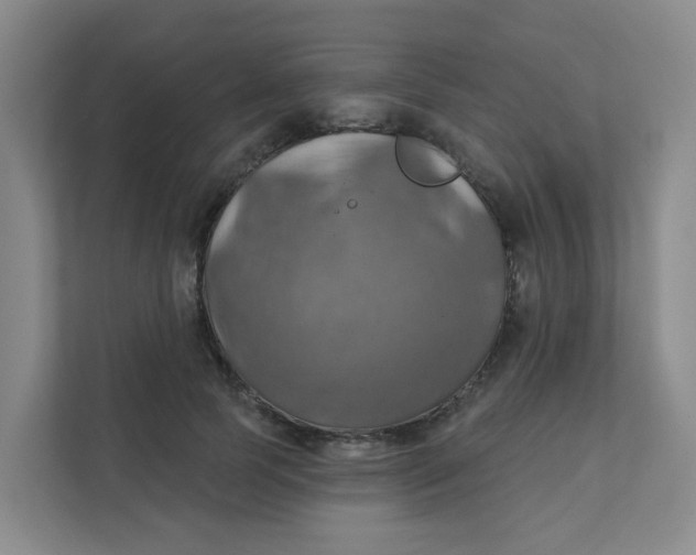 X0000111360745200907311012