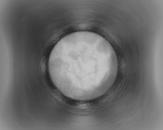 X0000111360746200907311012