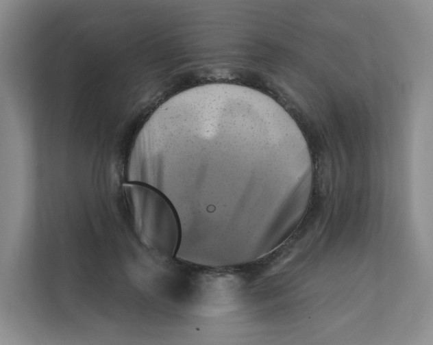 X0000111360747200907311012