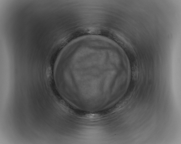 X0000111360748200907311012