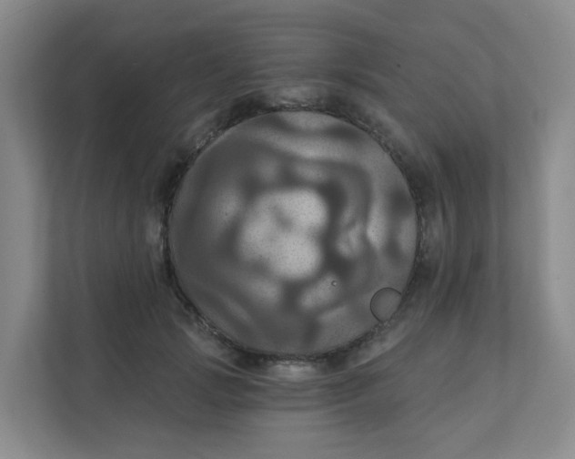 X0000111360749200907311012