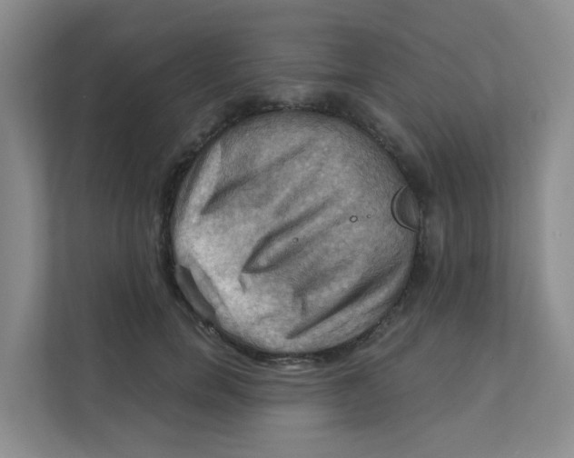 X0000111360750200907311012