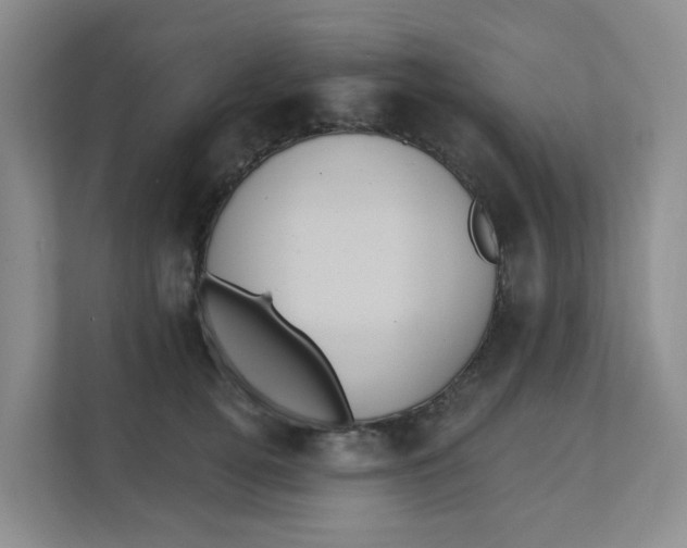 X0000111360752200907311012