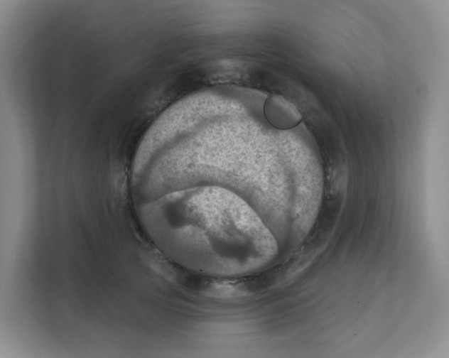 X0000111360753200907311012