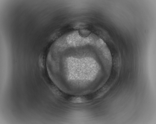 X0000111360755200907311012