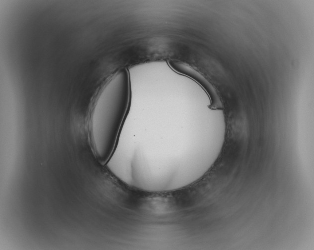 X0000111360756200907311012