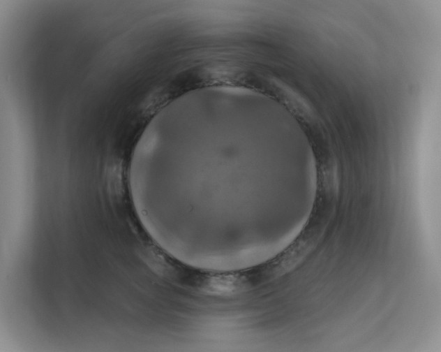 X0000111360757200907311012