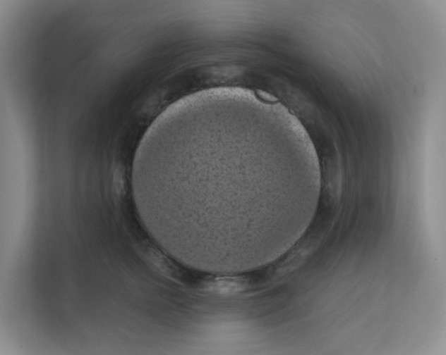 X0000111360758200907311012