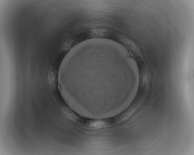 X0000111360759200907311012