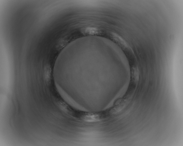 X0000111360760200907311012