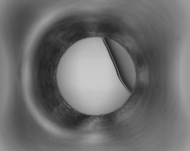 X0000111360764200907311013