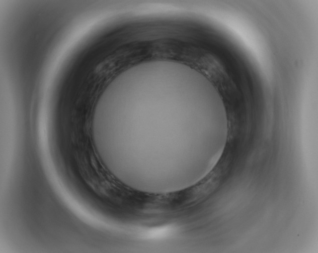 X0000111360765200907311013