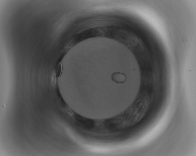 X0000111360766200907311013