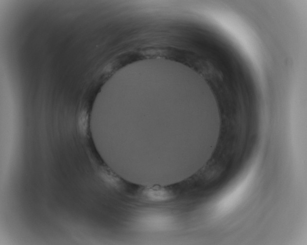 X0000111360767200907311013