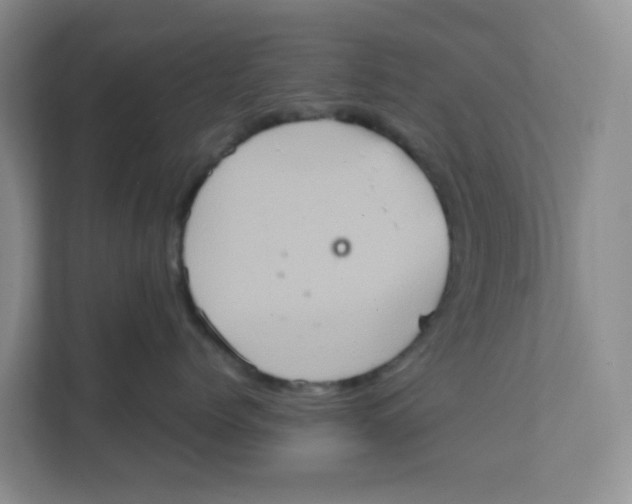 X0000111360768200907311013