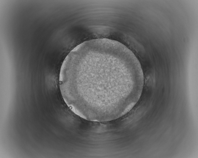 X0000111360772200907311012