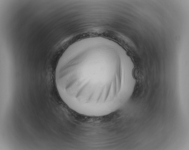 X0000111360773200907311012