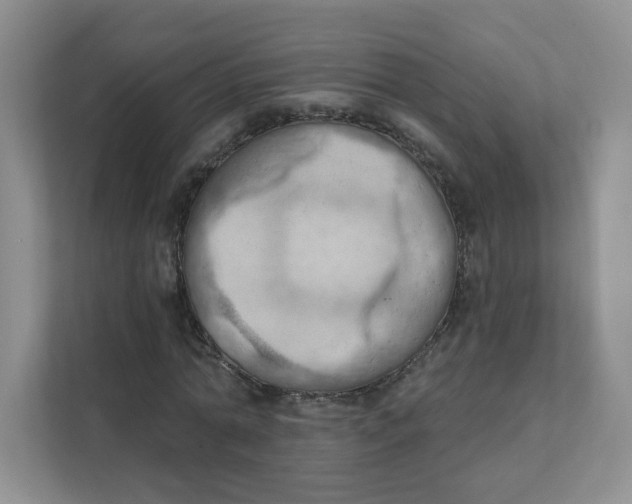 X0000111360774200907311012