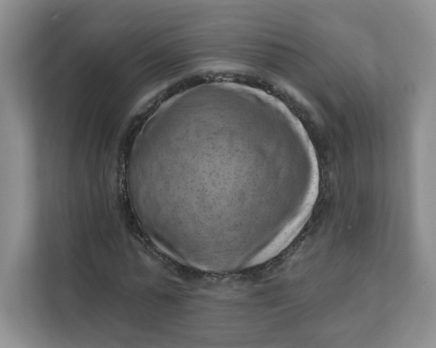 X0000111360775200907311012