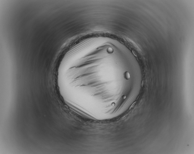 X0000111360776200907311012