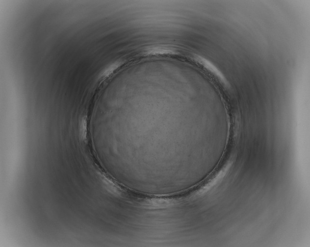 X0000111360777200907311012