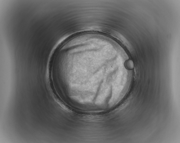 X0000111360780200907311012