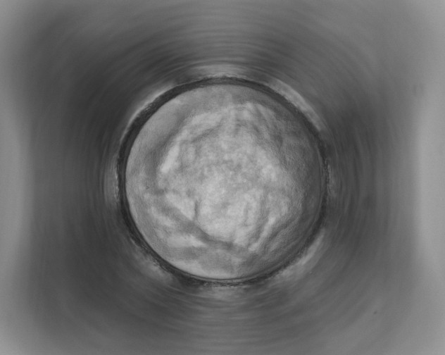 X0000111360782200907311012