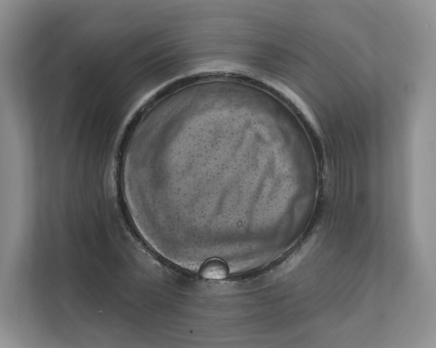 X0000111360783200907311012